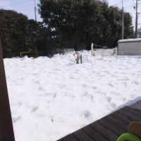 2014_02202-11雪かき