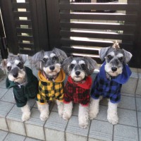 メーテルファミリー