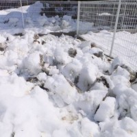 2014_02252-13雪起こし