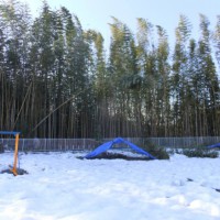 2014_02232-12竹きり