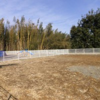 2014_03043-3芝ラン