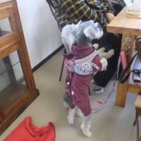 2014_03213-11なっつ茶々