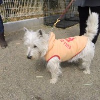 2014_03263-14ももちゃん