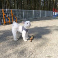 2014_03193-10こうすけくん