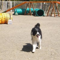 2014_03293-15けんちゃん