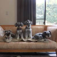 2014_03293-15メーテルファミリー