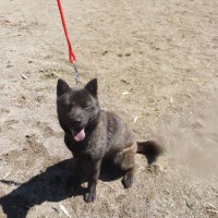 2014_03313-17さくらちゃん