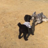 2014_03163-7ウルめー