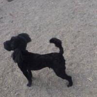 2014_03193-10うるちゃん