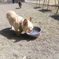 2014_03213-11サキちゃん