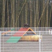 2014_03303-16サラちゃん