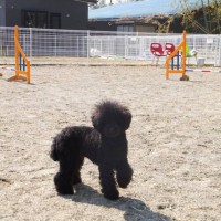 2014_03163-7もぐちゃん