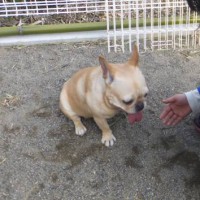 2014_03173-8ギャルちゃん３