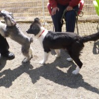 2014_03293-15メーテル、ダン