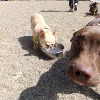 2014_03213-11最初の三匹