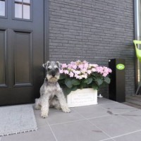 2014_03253-13ハーロック