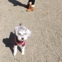 2014_03213-11ナッツ