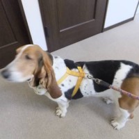 2014_03193-10マロンちゃん