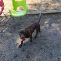 2014_03313-17サラちゃん