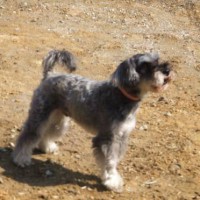 2014_03163-7まめちゃん