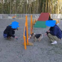 2014_03213-11ポンキチファミリー