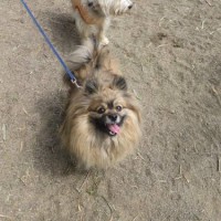 2014_03263-14ポンキチくん