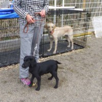 2014_03183-10はるちゃんなっちゃん