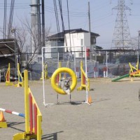 2014_03093-5ぎんが