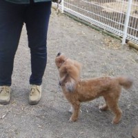 2014_03193-10カールくん