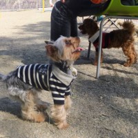 2014_03293-15よっしー