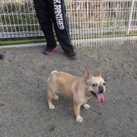 2014_03173-8ギャルちゃん