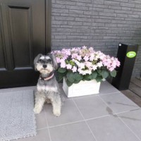 2014_03253-13メーテル