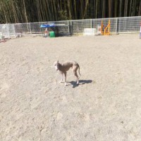 2014_03173-8とむくん