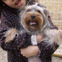 2014_04024-2あずき