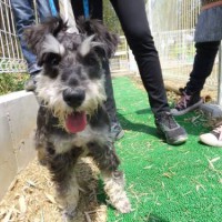 2014_04134-11ムク君