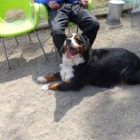 2014_04134-11マックス君