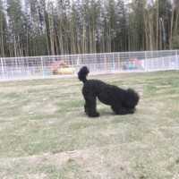 2014_04294-22もぐちゃん