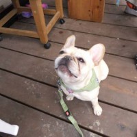 2014_04064-5サキちゃん