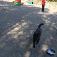 2014_04144-12sakuratyann2