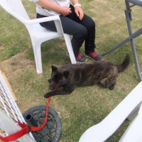 2014_04294-22さくらちゃん