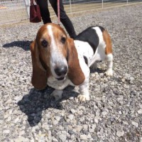 2014_04074-6マロンちゃん