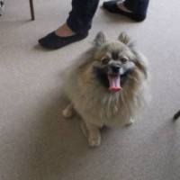 2014_04134-11ポンキチくん