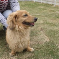 2014_04294-22ライちゃん