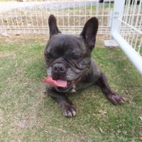 2014_04284-21ブルルちゃん