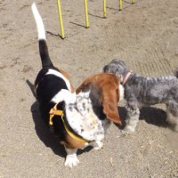 2014_04014-1めーマロンちゃん