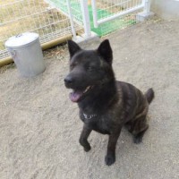 2014_04164-14さくらちゃん