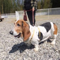 2014_04074-6マロンちゃん２