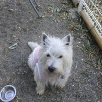 2014_04084-7ももちゃん