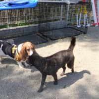 2014_04114-9マロサク