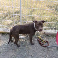 2014_04094-8サラちゃん